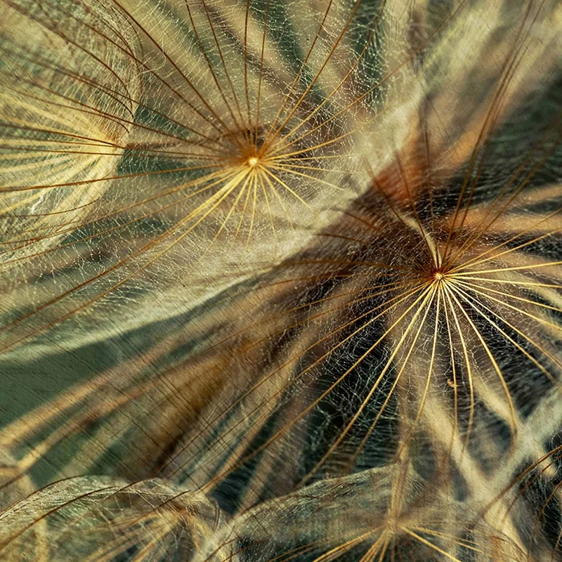 2026_06_09_55729